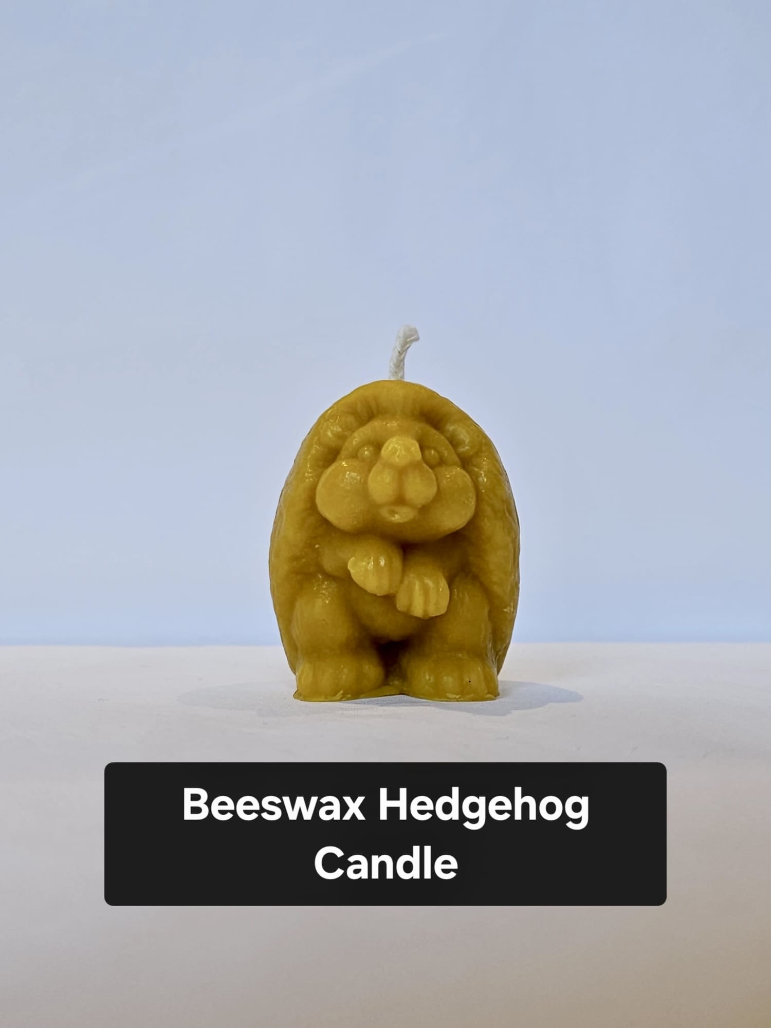 Hedgehog Candle